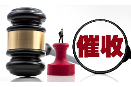 光泽融资清欠服务